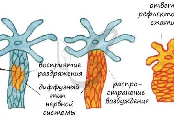 Кракен наркологический