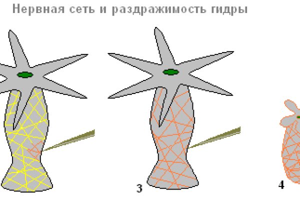 Каталог онион сайтов